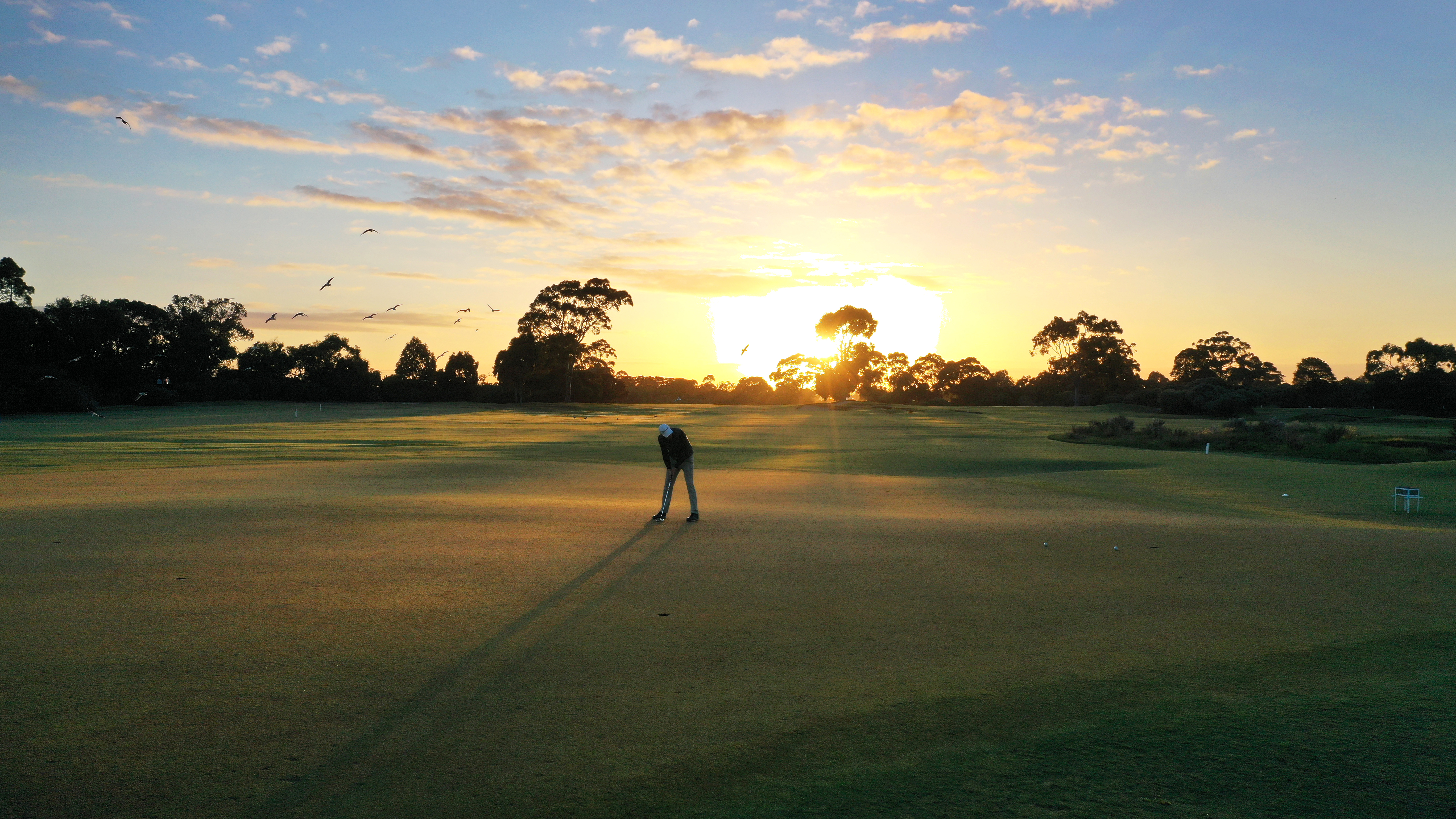 Kingston Heath